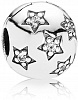 КЛИПСА ЗВЕЗДНАЯ НОЧЬ №791058CZ